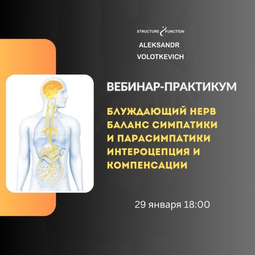 [Александр Волоткевич] Блуждающий нерв_ баланс сим_0.jpg